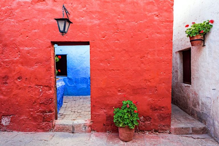 What Colors Go With Red? - The Complementary Color of Red