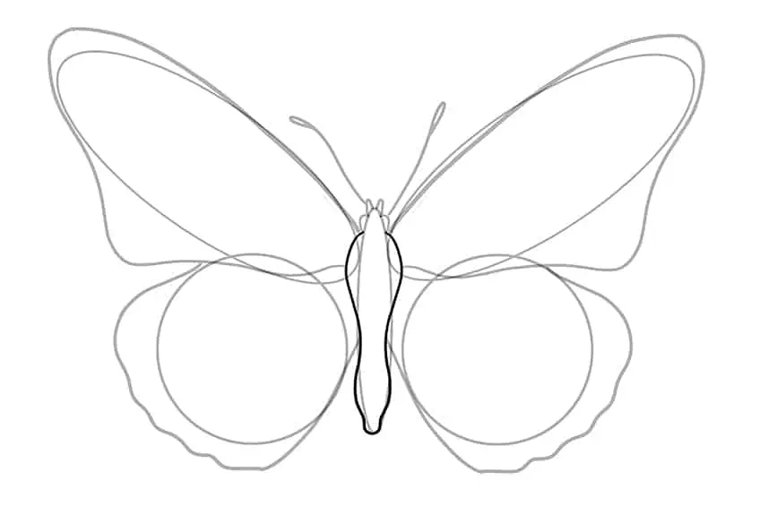 Рисунок бабочки 05