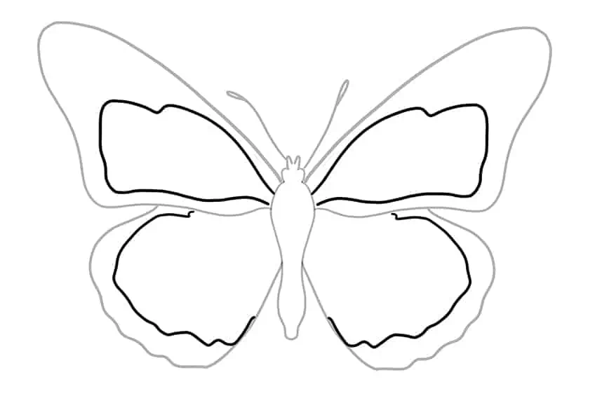 Рисунок бабочки 06