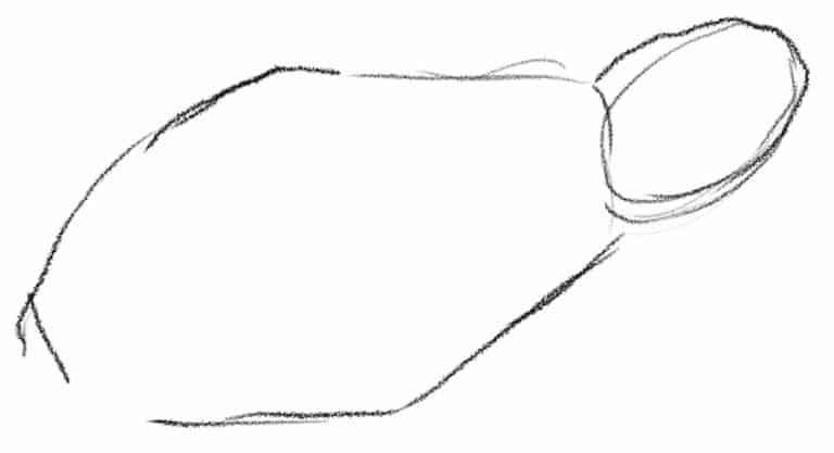  Frosch zeichnen - Erstelle eine einfache Frosch-Zeichnung Motiv 