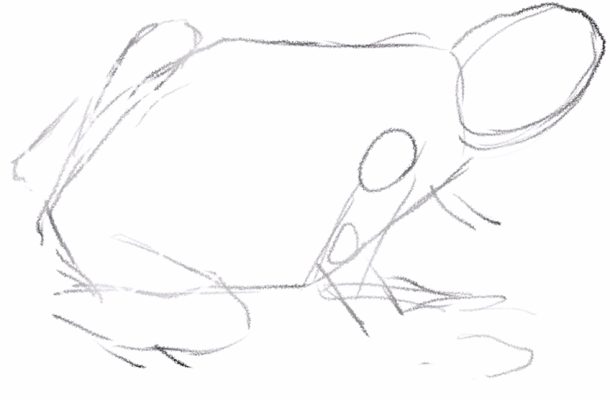  Frosch zeichnen - Erstelle eine einfache Frosch-Zeichnung Bildidee 