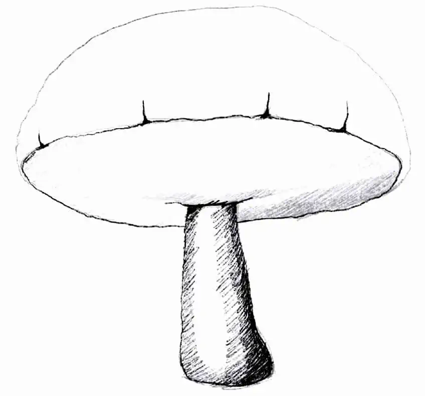 Рисование грибов 29