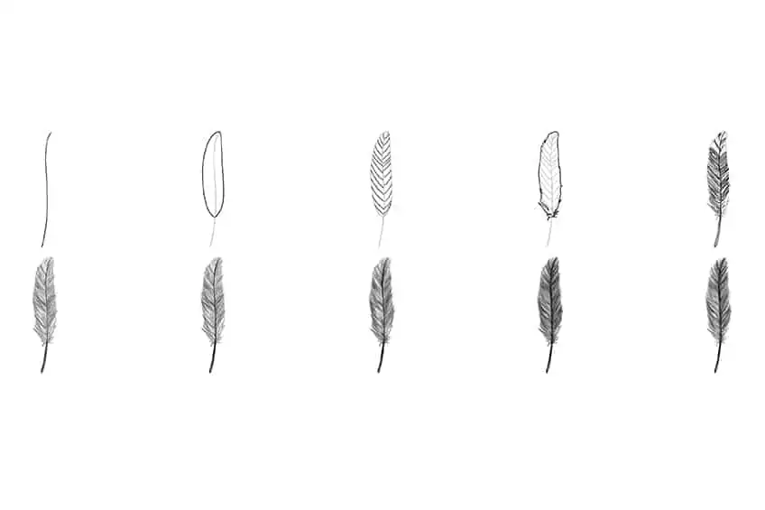 Коллаж «Рисунок перьев»