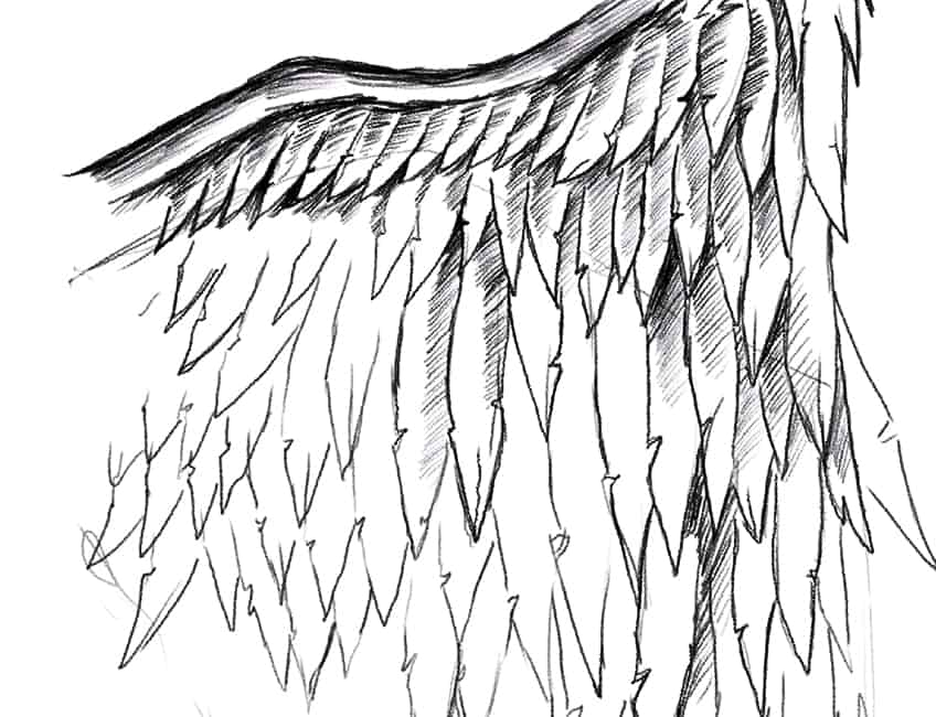 Как нарисовать крылья легко 11