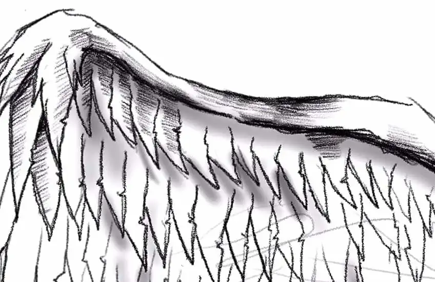 Как нарисовать крылья легко 13