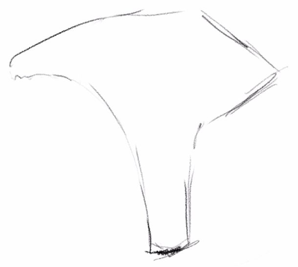  Foto zu Pilze zeichnen - So zeichnest du einen Pilz Schritt für Schritt 