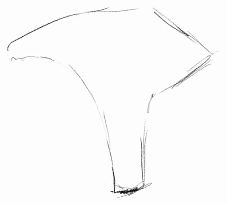  Pilze zeichnen - So zeichnest du einen Pilz Schritt für Schritt Bildidee 