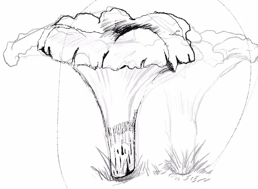 Как нарисовать гриб 05