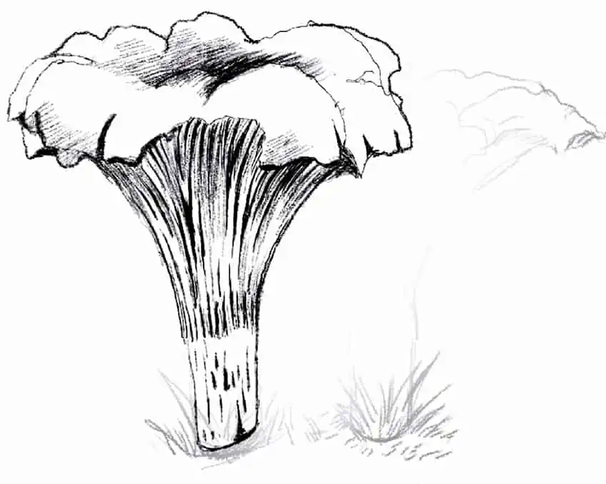 Как нарисовать гриб 07