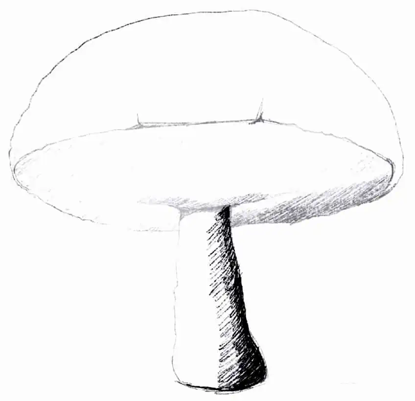 Mushroom Drawing Easy 28