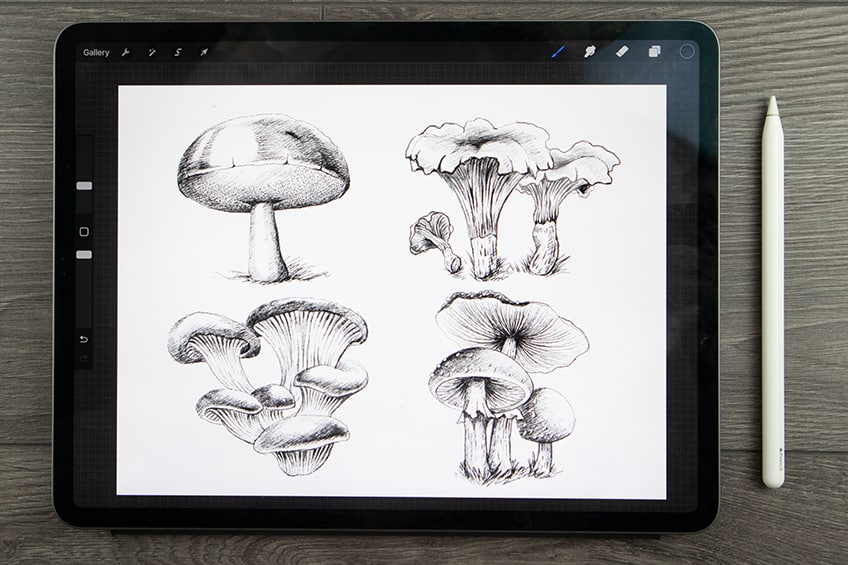 Рисунок гриба