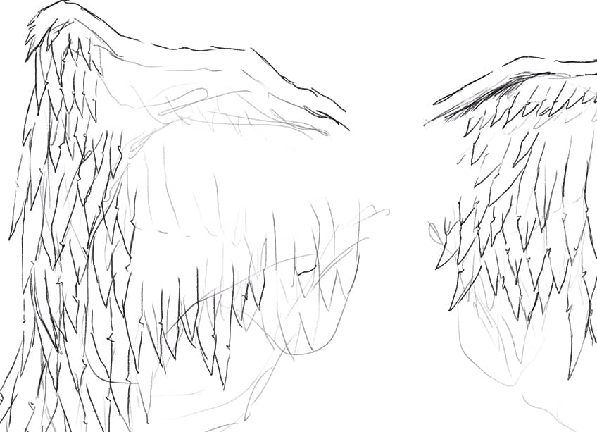 How To Draw Feathered Wings