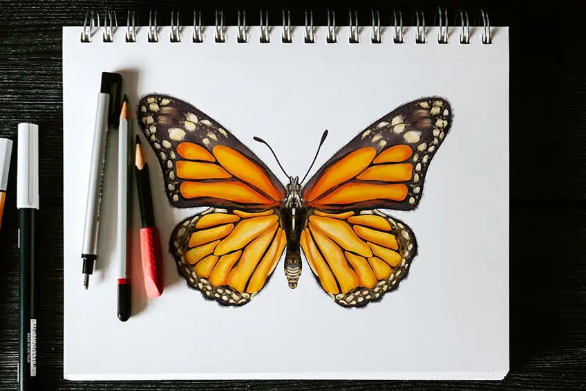 Como dibujar una mariposa - Dibuja una mariposa monarca fácil