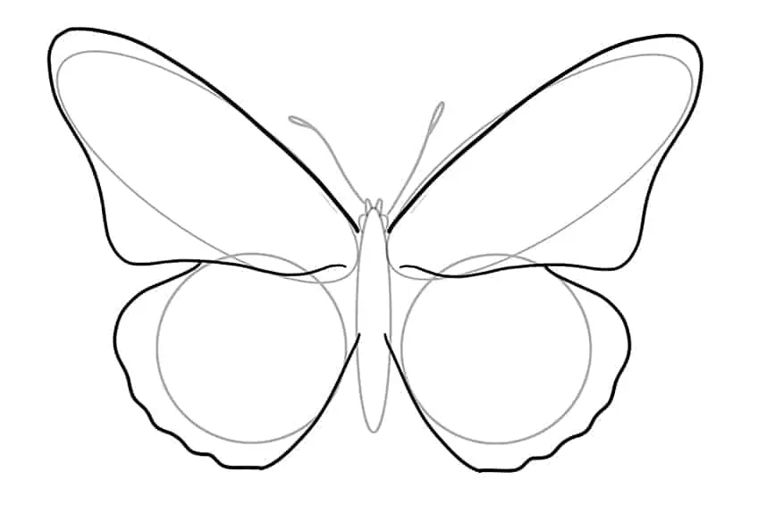 dessiner papillon 04