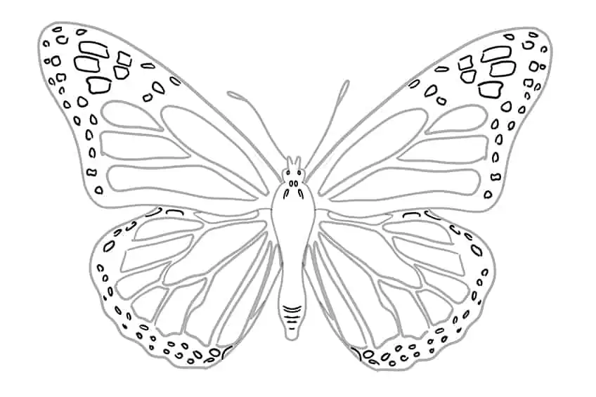 dessiner papillon 08