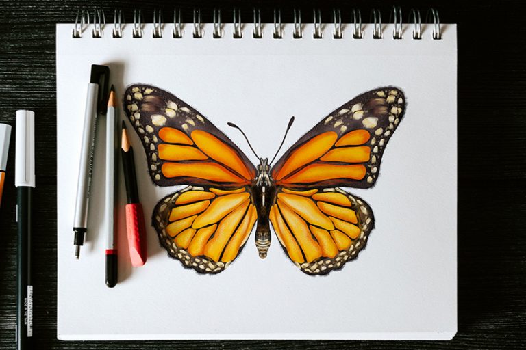Dessiner un papillon – Dessine un papillon monarque facile