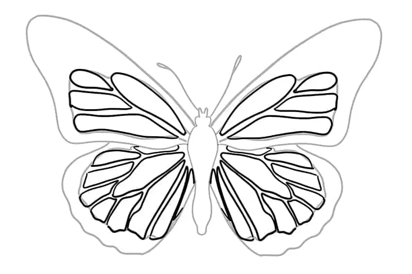 dibujo mariposa 07