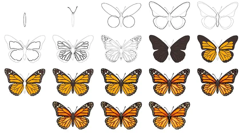 como dibujar una mariposa