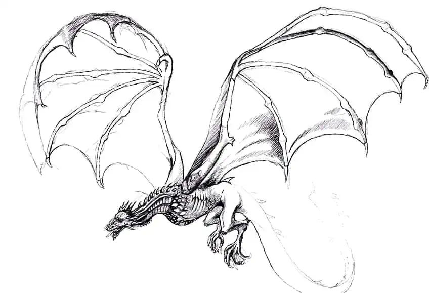 Иллюстрация дракона
