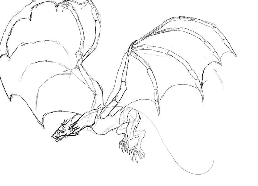 dragon sketch 13