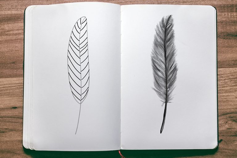 Feder zeichnen – Einfache Anleitung für das Zeichnen von Federn