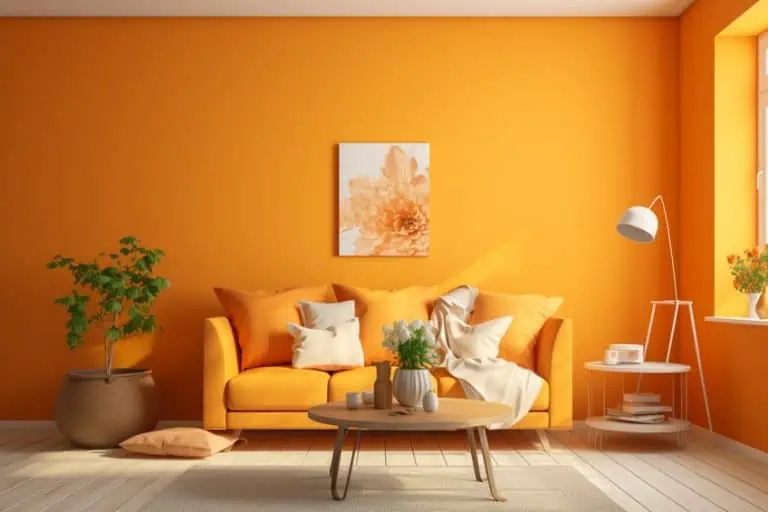 What Colors Go With Orange? – 25 Vibrant Combinations