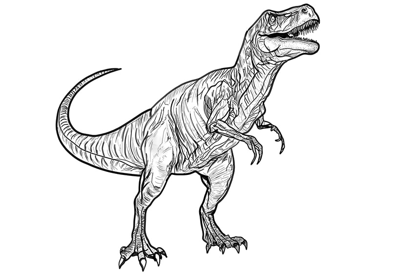 Dibujo de dinosaurio 25
