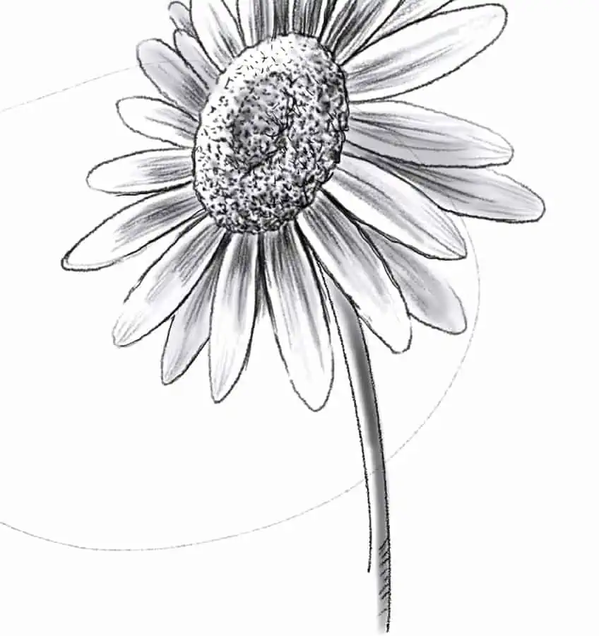 Dibujando Flores 30