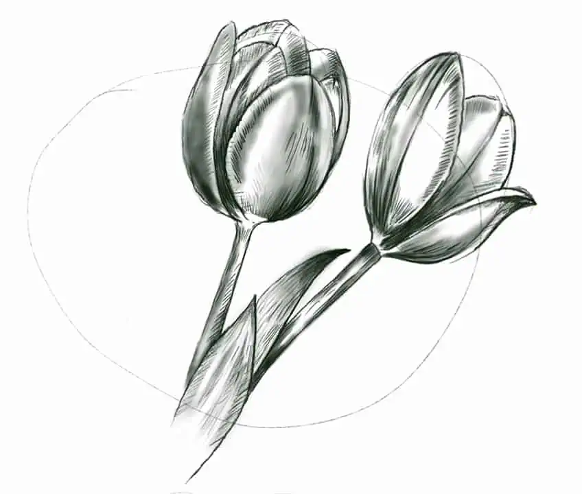 60+ Easy Flower Drawings with Step-by-Step Tutorials