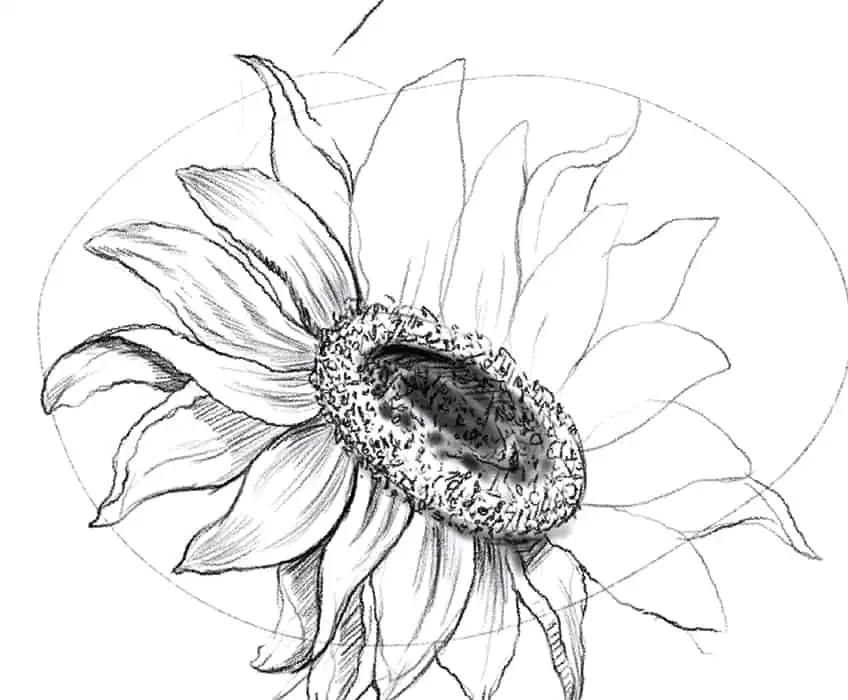 Boceto de la flor 19