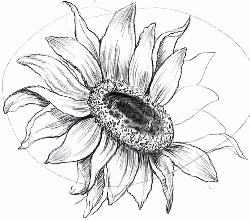 Flower Sketch 20
