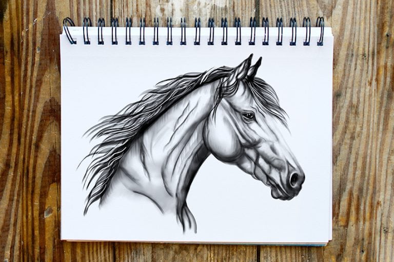 Horse Head Drawing – Create a Majestic Horse Head Sketch