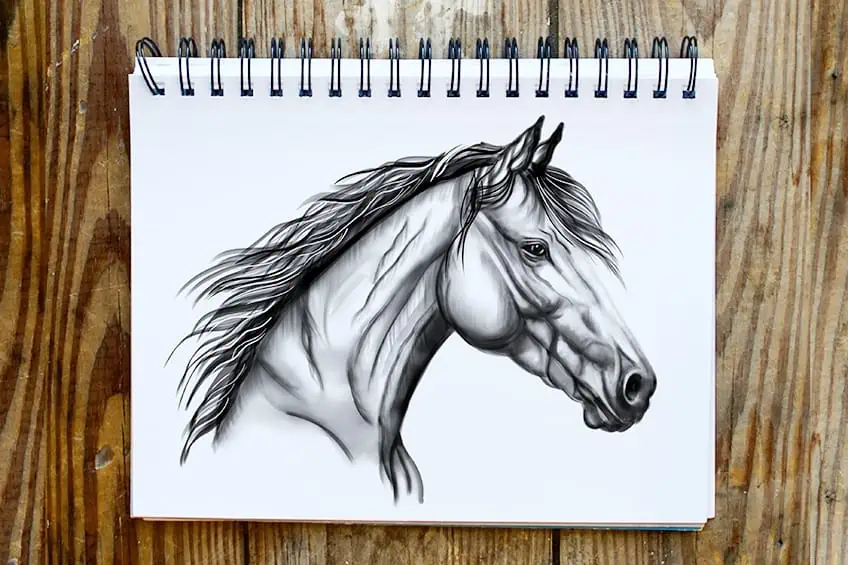 Рисунок лошадиной головы