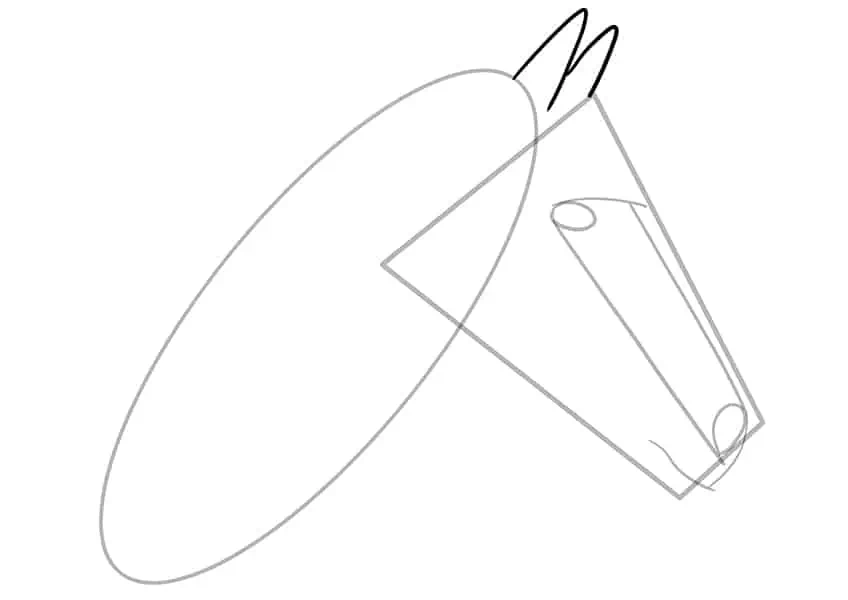 Cómo dibujar la cabeza de un caballo 05