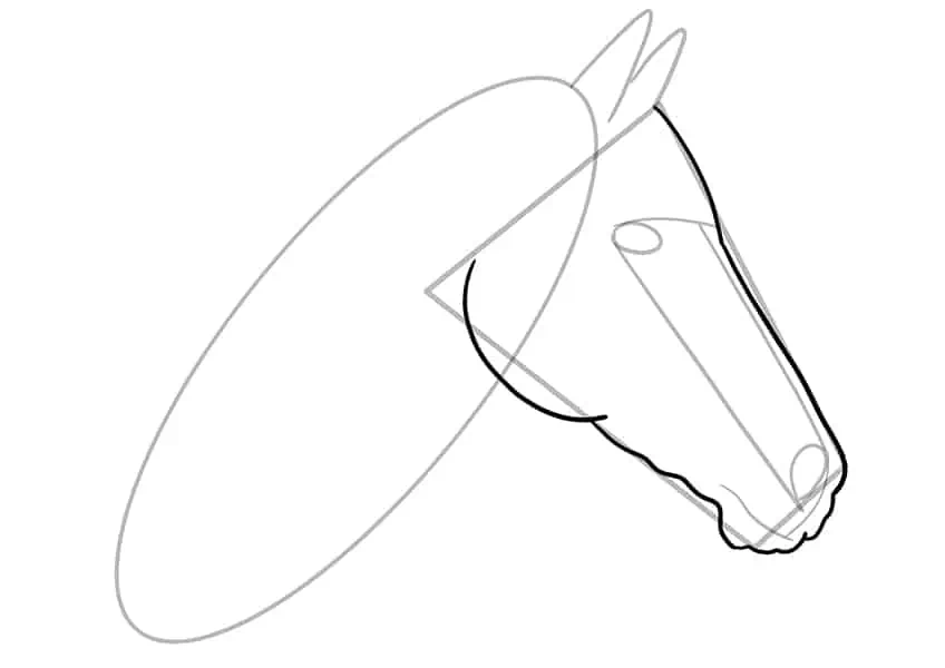 Cómo dibujar una cabeza de caballo 06