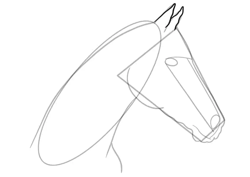 Как нарисовать голову лошади 08
