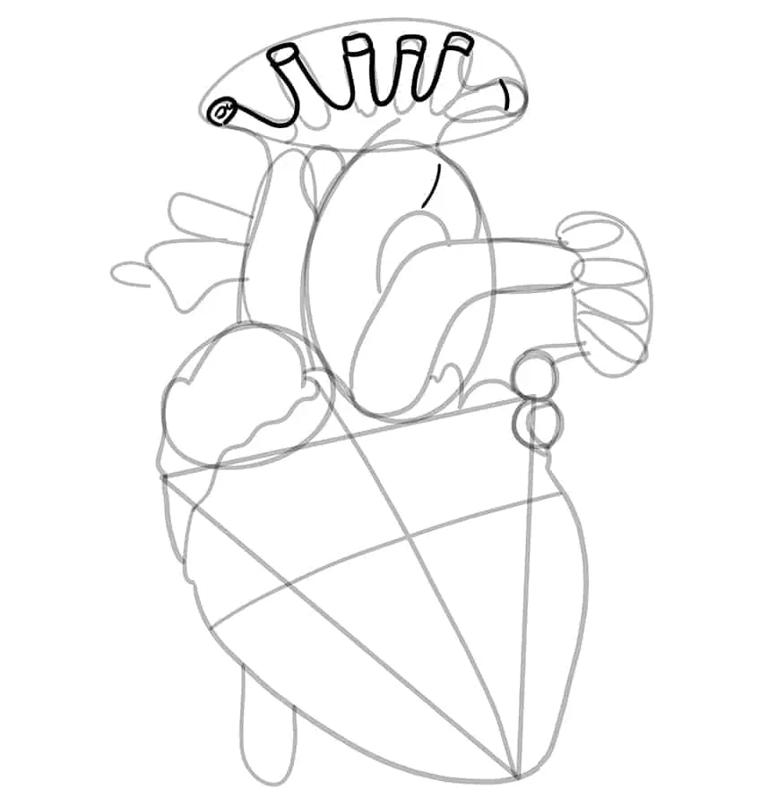 Как нарисовать человеческое сердце 14