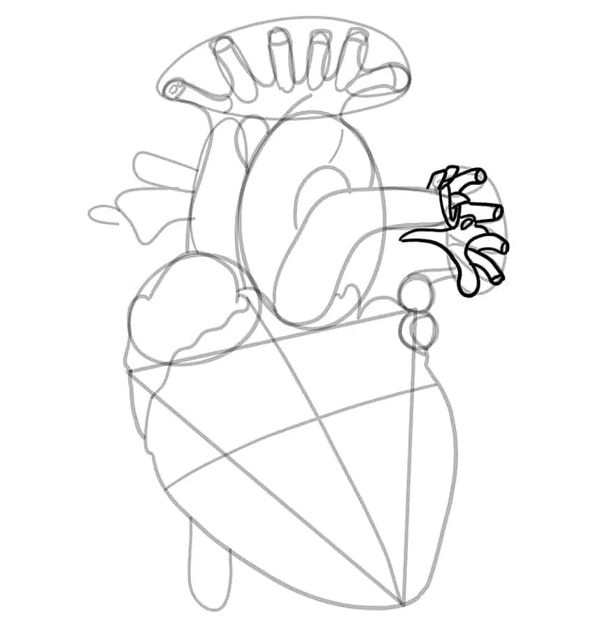 How to Draw a Human Heart 15