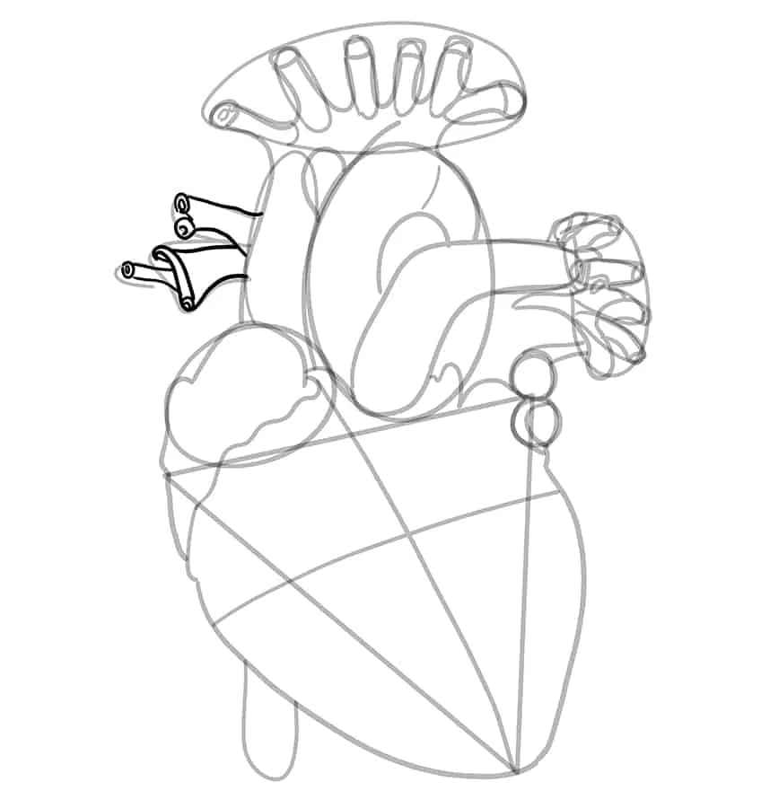 Как нарисовать человеческое сердце 16