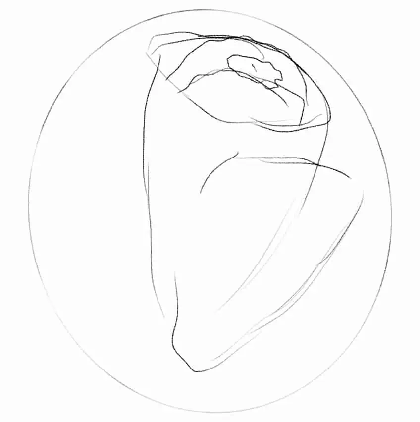 Cómo dibujar una rosa 02