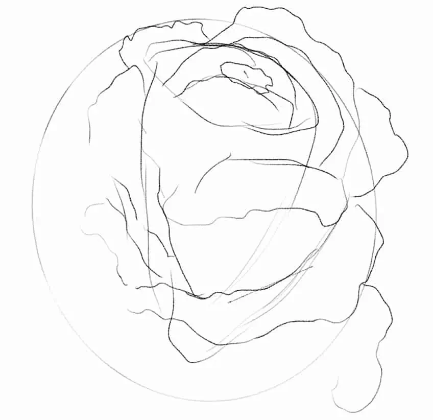 Cómo dibujar una rosa 04