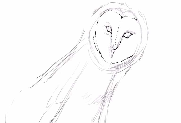Cómo dibuja un Búho - Aprende a dibujar un búho realista