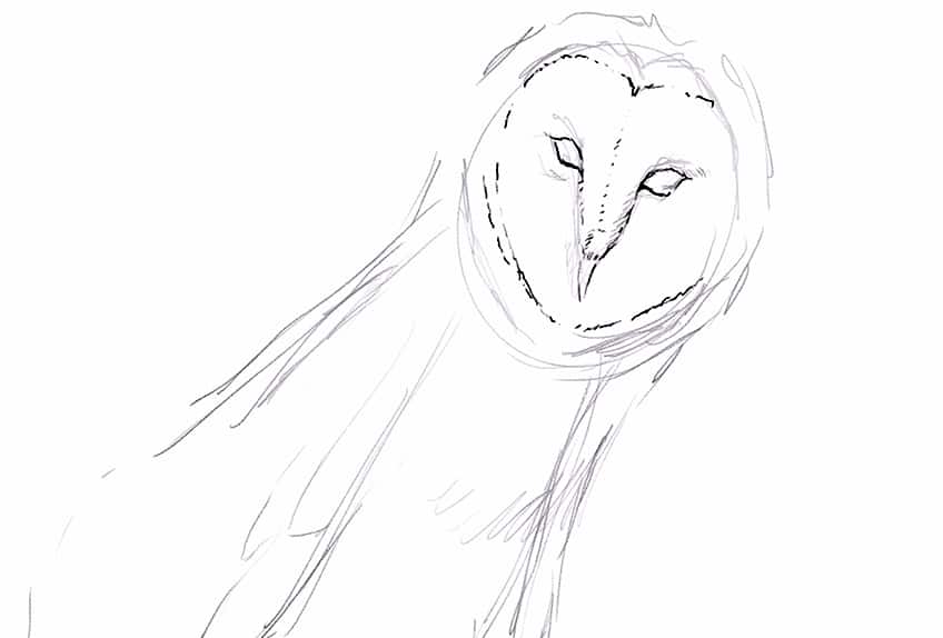 Owl Drawing 06