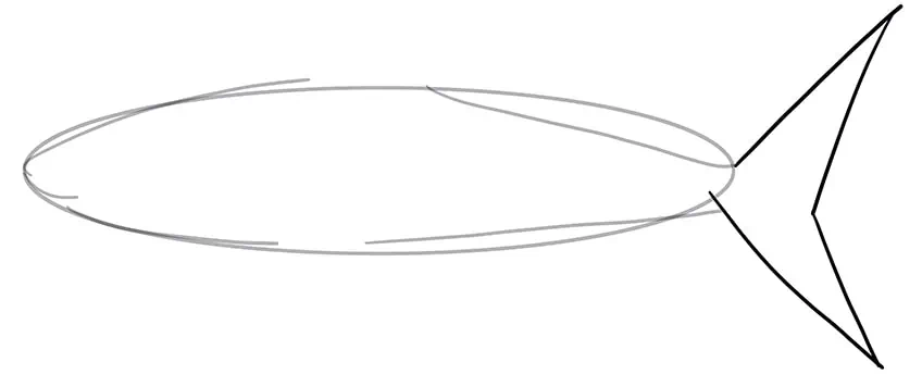 Shark Drawing 03