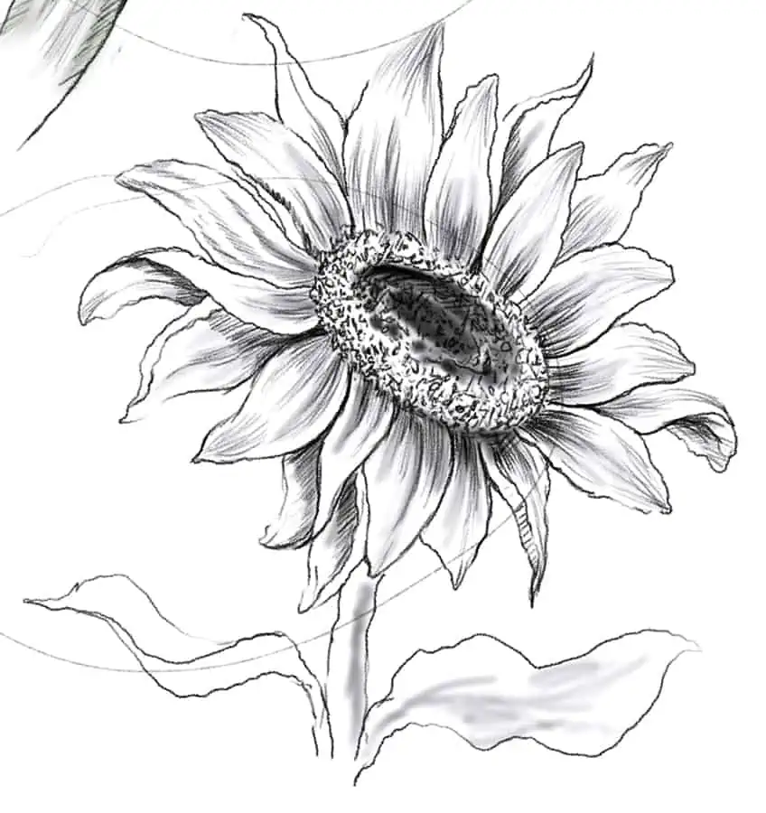 Simple Flower Drawings 22