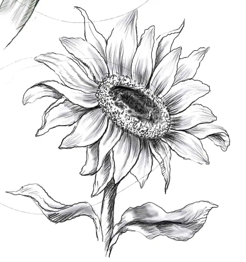 Simple Flower Drawings 23