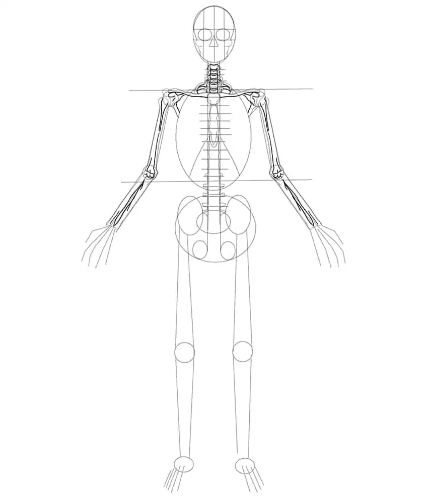 Skeleton Drawing 10