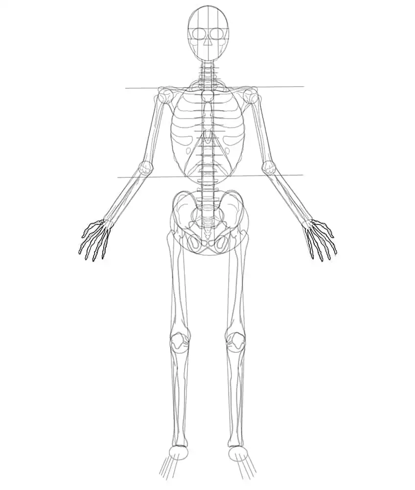 Skeleton Drawing 15