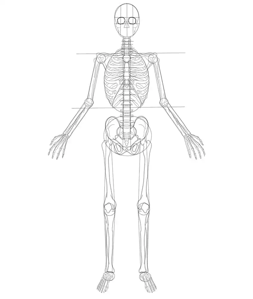 Skelett Zeichnung 19