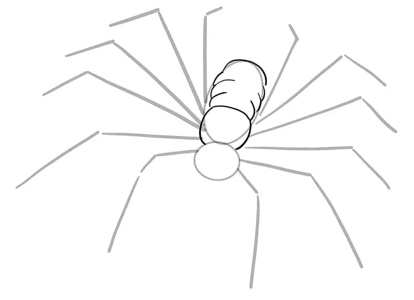 Рисунок паука 04